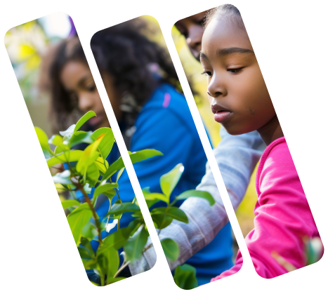 Children receiving love and care